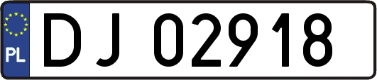 DJ02918