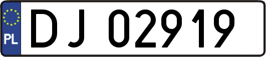 DJ02919
