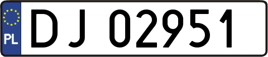 DJ02951