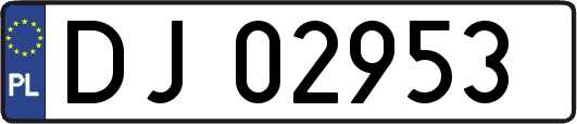 DJ02953