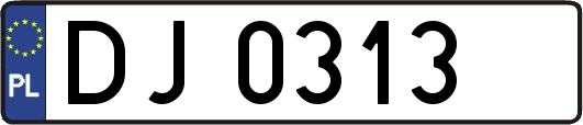 DJ0313
