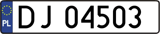 DJ04503