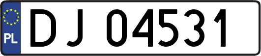 DJ04531