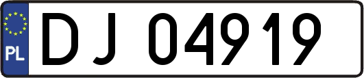 DJ04919