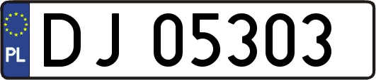 DJ05303