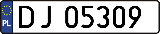 DJ05309