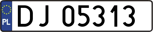 DJ05313