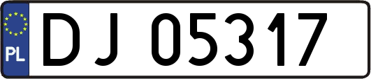 DJ05317