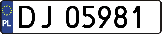 DJ05981
