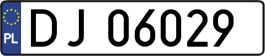 DJ06029