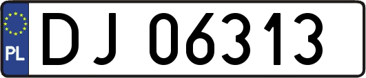 DJ06313