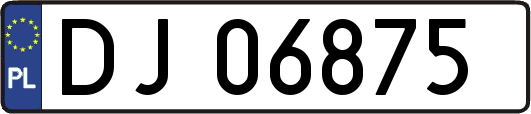 DJ06875