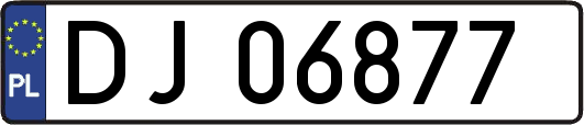 DJ06877