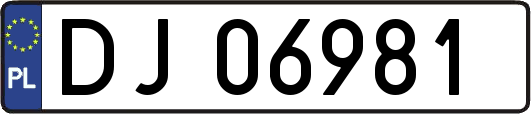 DJ06981