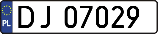 DJ07029