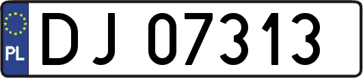 DJ07313