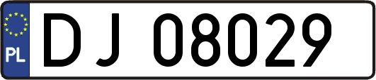 DJ08029