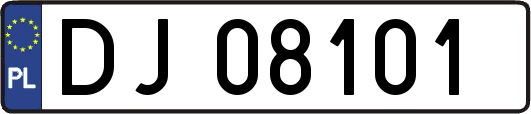 DJ08101