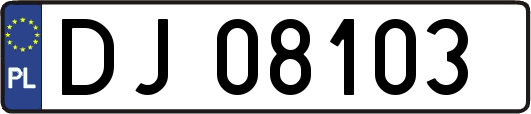 DJ08103