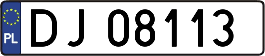 DJ08113