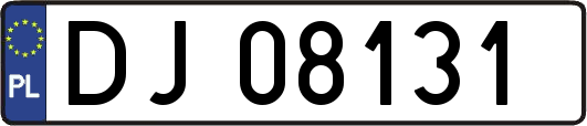 DJ08131