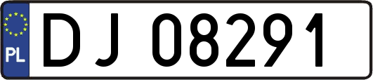 DJ08291