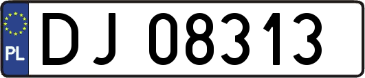 DJ08313