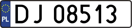 DJ08513