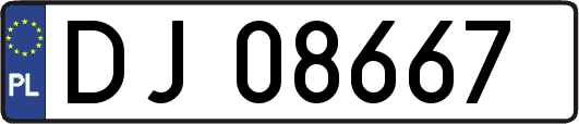 DJ08667