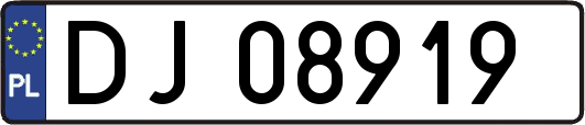 DJ08919