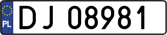 DJ08981