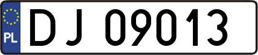 DJ09013