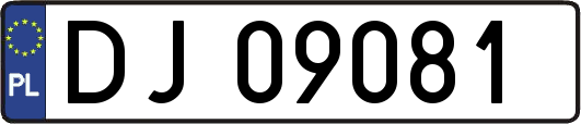 DJ09081