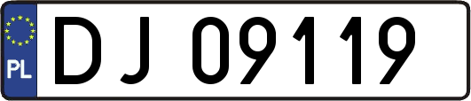 DJ09119