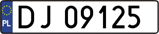 DJ09125