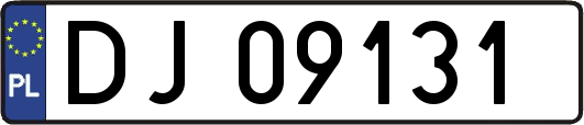 DJ09131