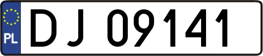 DJ09141