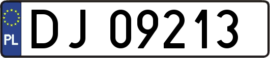 DJ09213