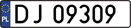 DJ09309