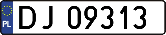 DJ09313