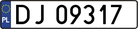 DJ09317
