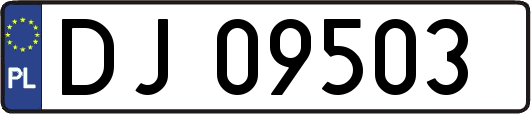 DJ09503