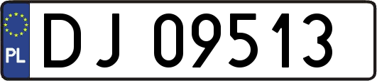 DJ09513