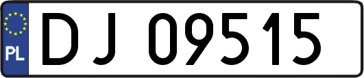 DJ09515
