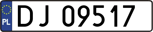 DJ09517
