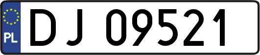 DJ09521