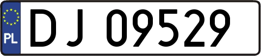 DJ09529