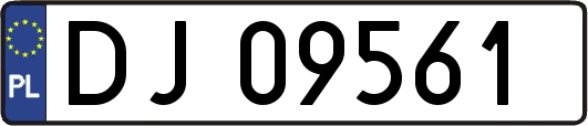DJ09561