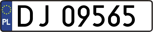 DJ09565