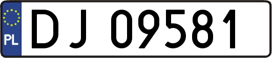 DJ09581